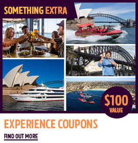 bridgeclimb offer opt in for $100 worth of exclusive partner coupons