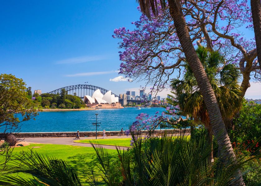 view of the opera house and harbour bridge from the royal botanic gardens sydney