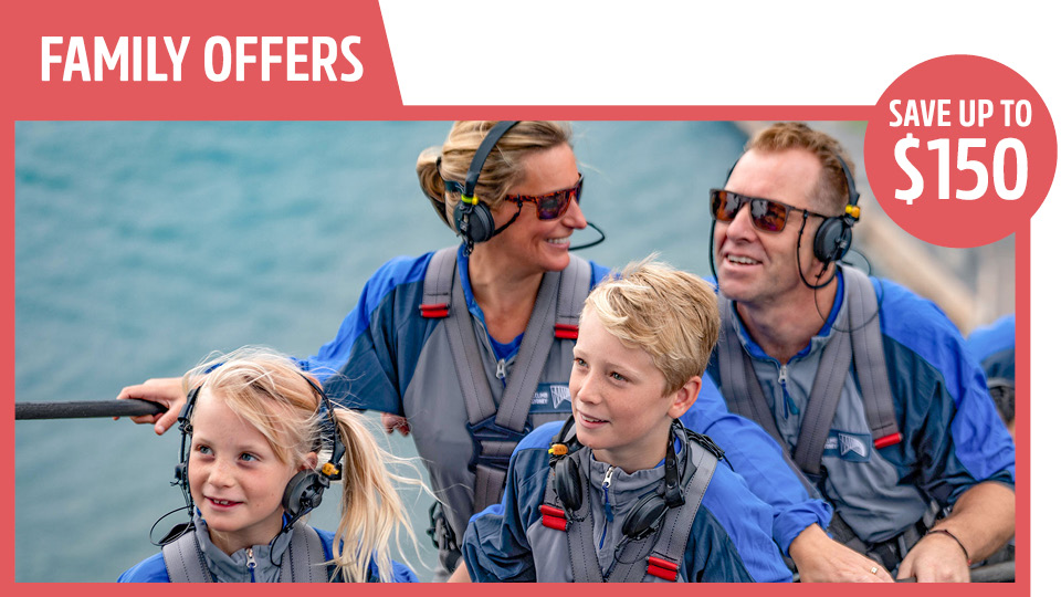 bridgeclimb family offers family bundle tickets save up to $150 family of four climbing the bridge